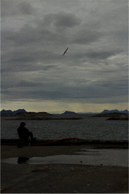 Person fishing on a grey day by the sea in Lofoten