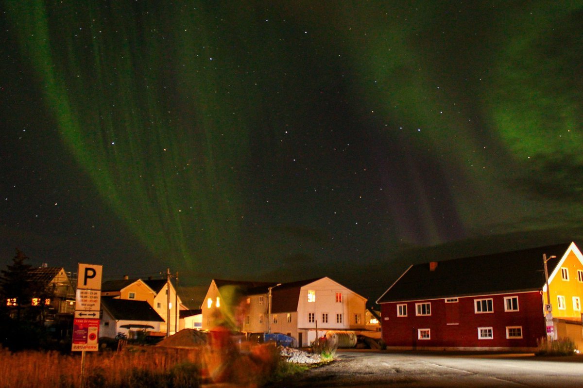 Green northern lights over red and white houses in Lofoten