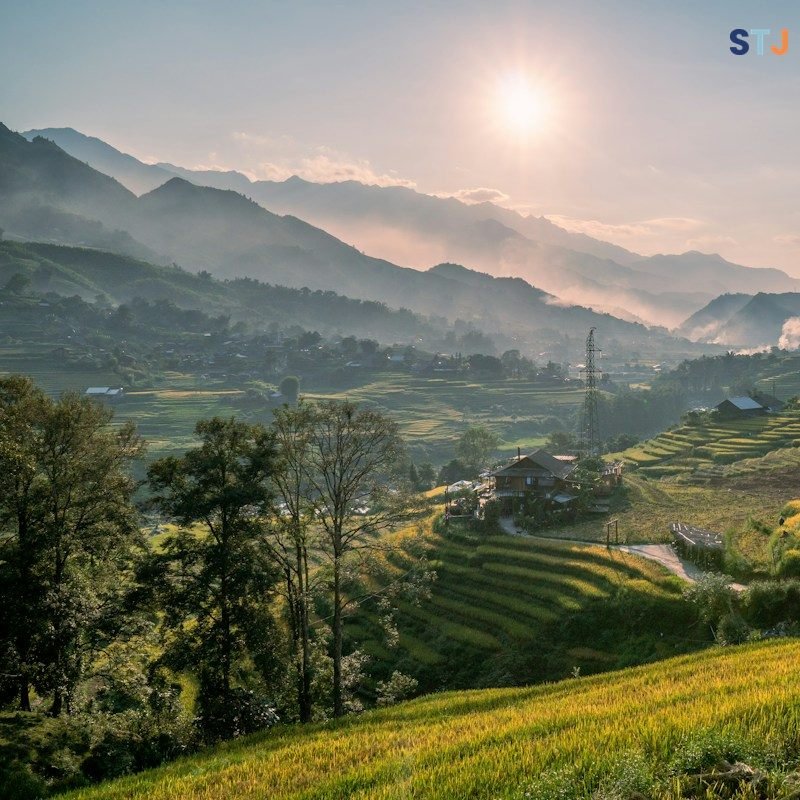 Terraced green rice fields in the hills around Sapa, northern Vietnam.